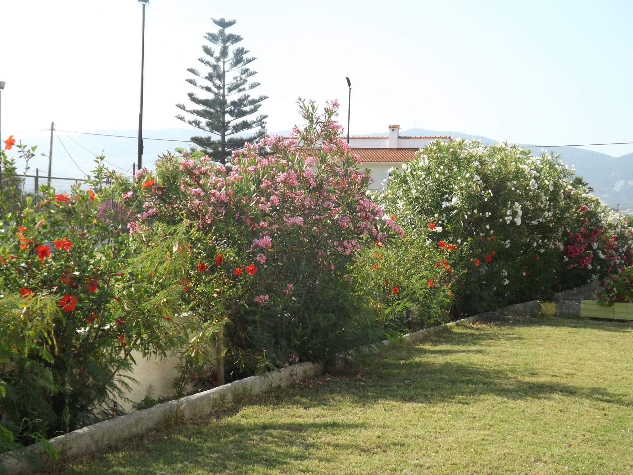 Leonidas Hotel & Studios Kos Extérieur photo